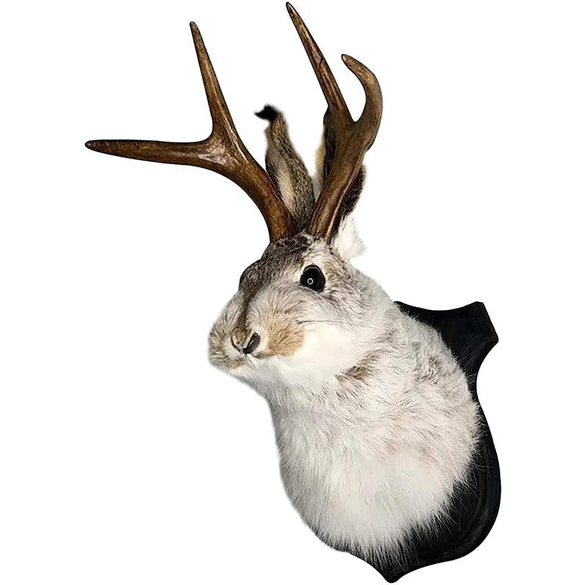 HSOSK jackalope face avant suspendue apportant caractère décoratif