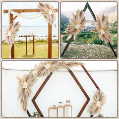 HUASHIYE texture plumeuse des pampas apportant douceur visuelle