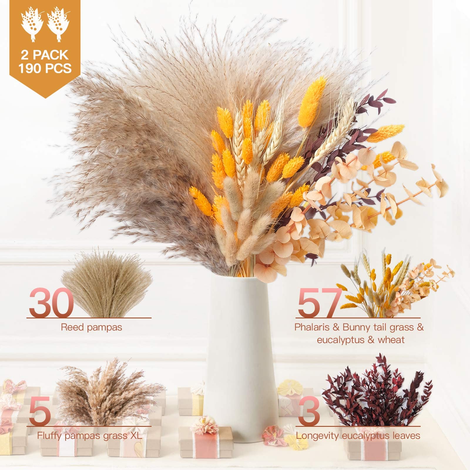 HUMINBO gros plan sur textures des fleurs sèches et pampas pour un rendu naturel et moelleux