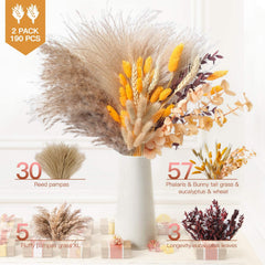 HUMINBO gros plan sur textures des fleurs sèches et pampas pour un rendu naturel et moelleux