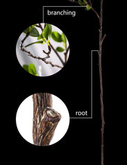 HWL branches intégrées dans un bouquet DIY pour une décoration instantanée