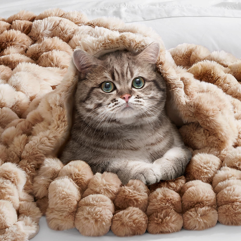 Hyde Lane jeté sur canapé décoré, apporte élégance à votre salon
