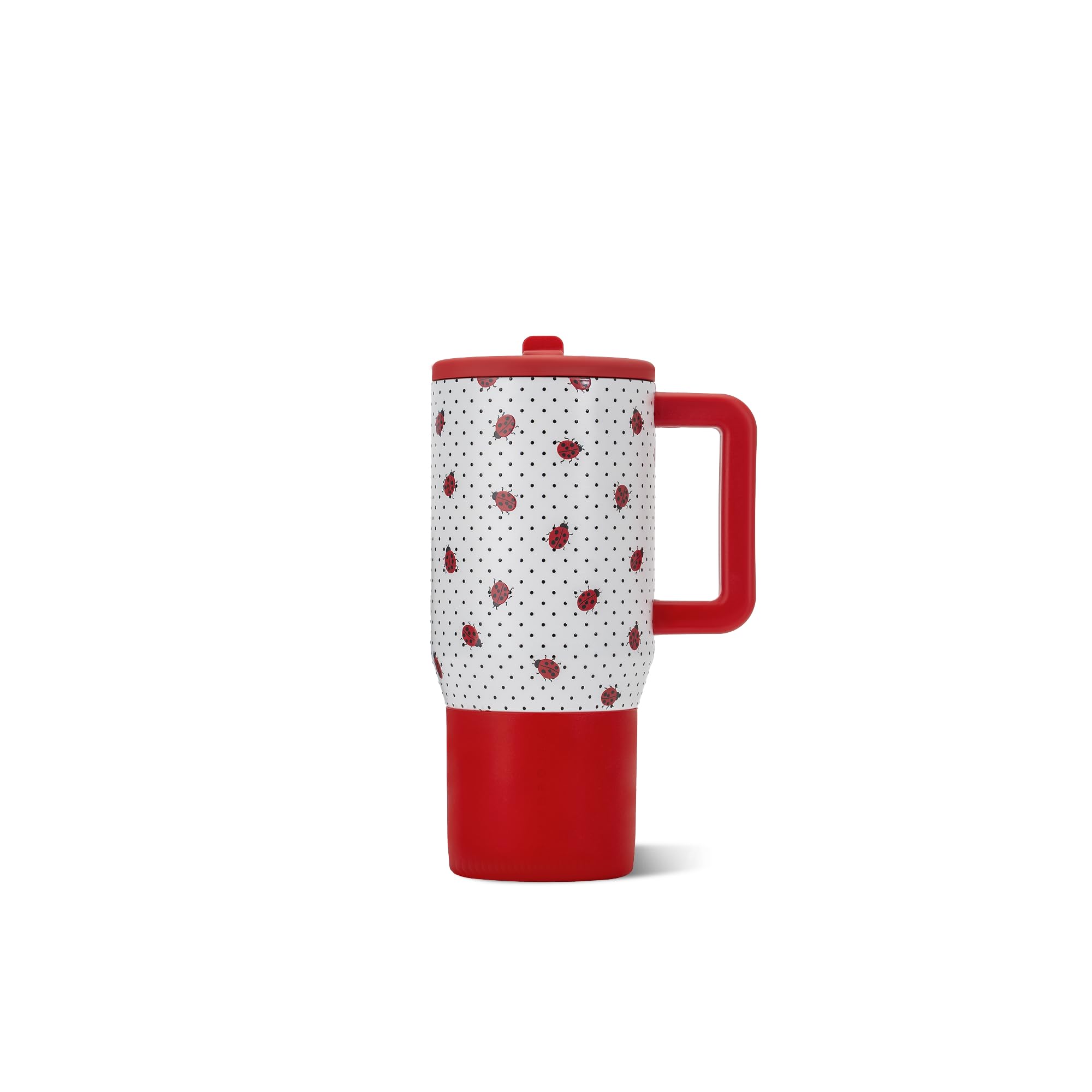 HydroJug Traveler face avant montrant le motif ladybug et la fermeture sécurisée