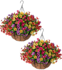 HyeFlora paniers accrochés sur porche apportant couleur durable