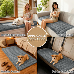 hyha housse installée avec chien assis montrant confort et protection