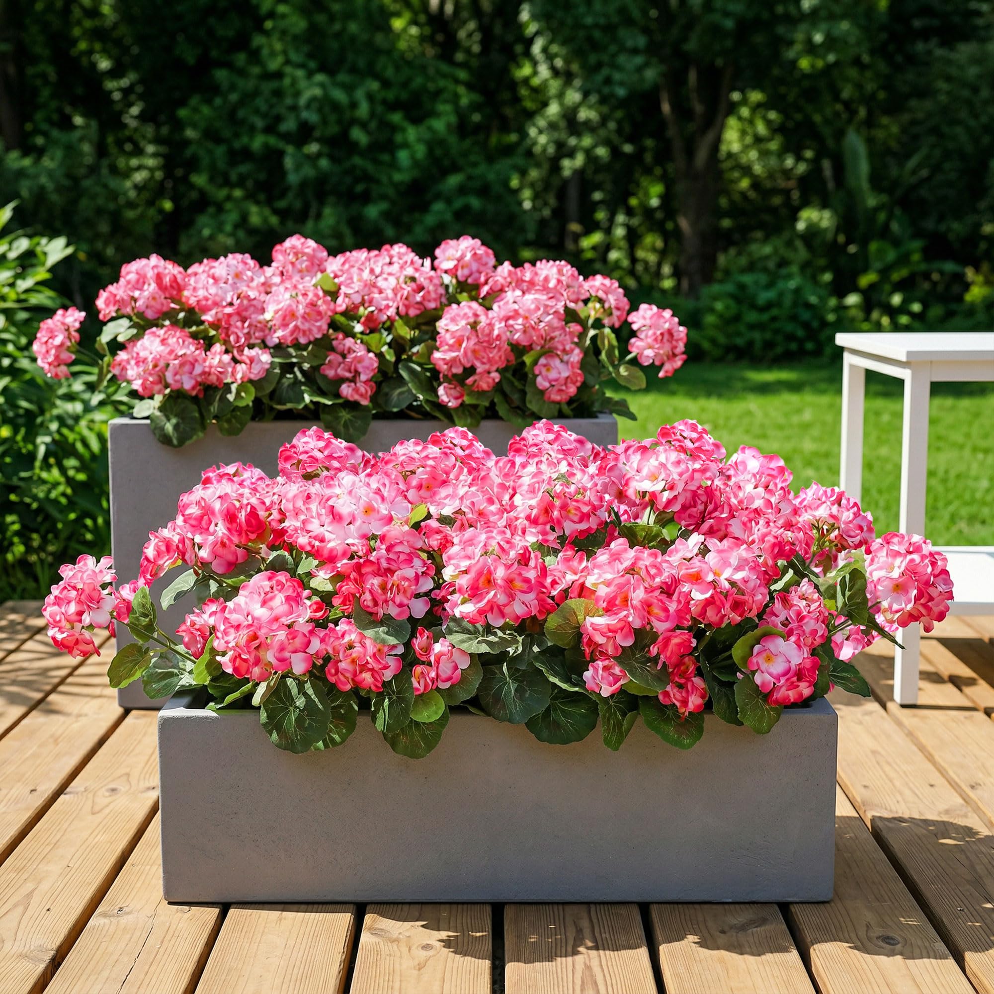 INSPRING géraniums dans jardinière de balcon apporte couleur immédiate