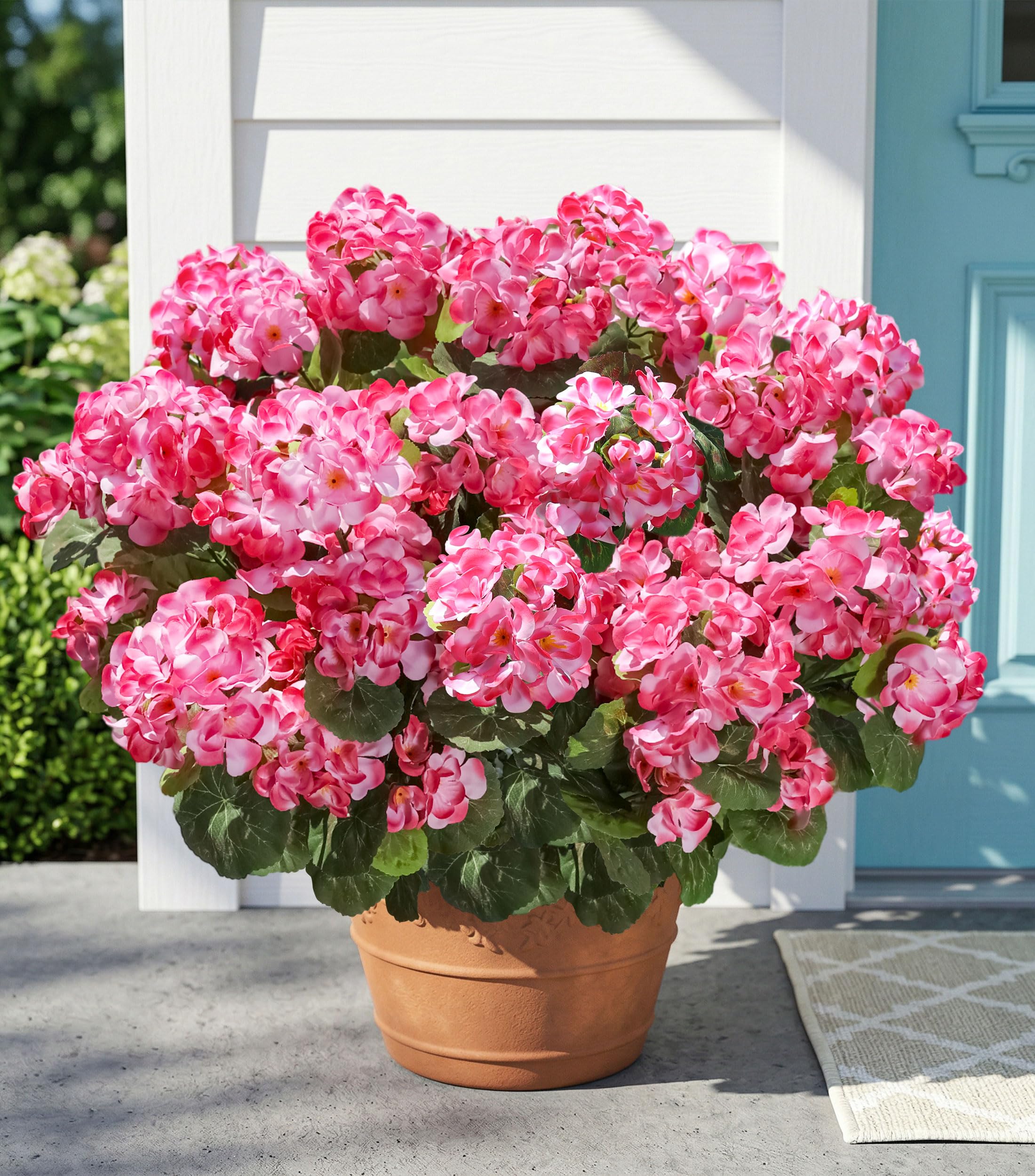 INSPRING emballage 6 bouquets géraniums extérieur tenue longue durée