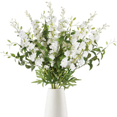 IPOPU emballage des delphiniums blancs montrant contenu et présentation