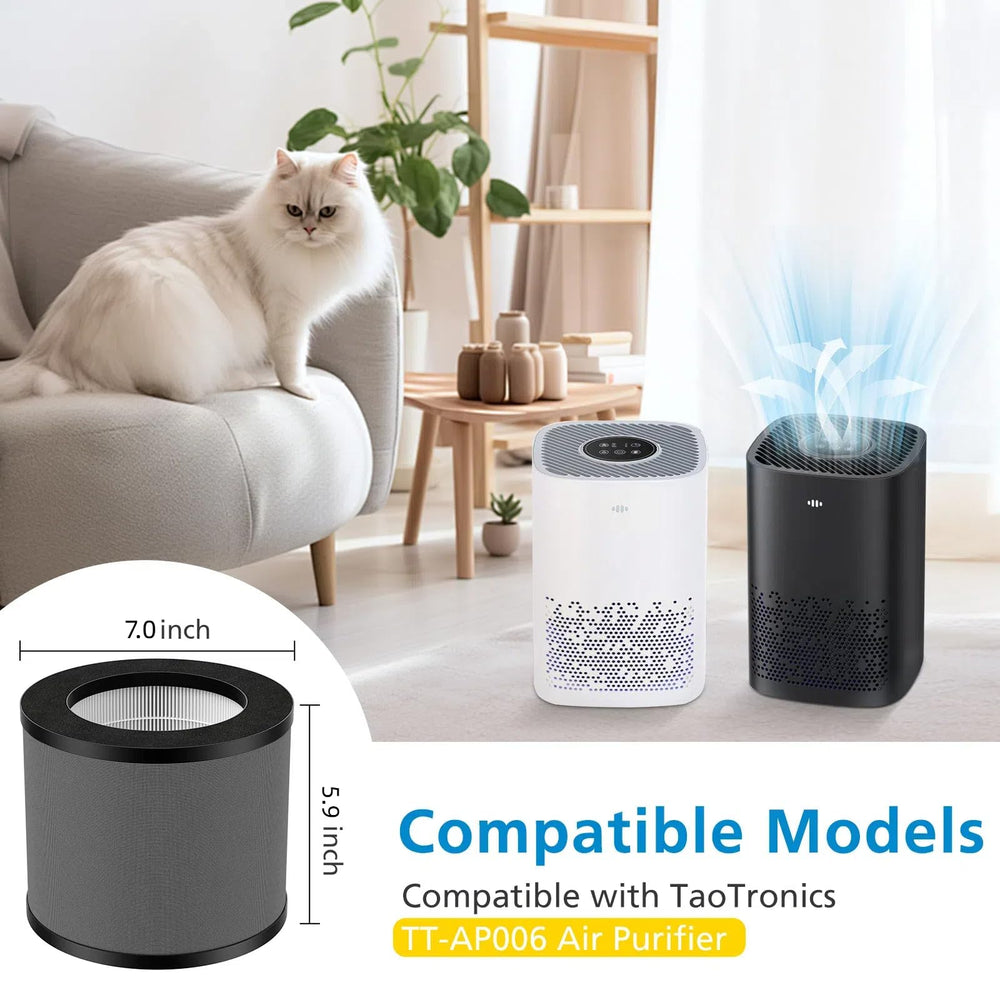 iSingo TT-AP006 coupes des couches illustrant préfiltre charbon actif et média principal