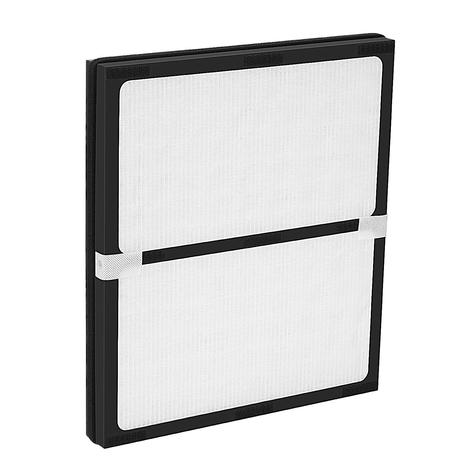 isinlive contenu de la boîte montrant 1 filtre principal et 2 charbons prêts à poser