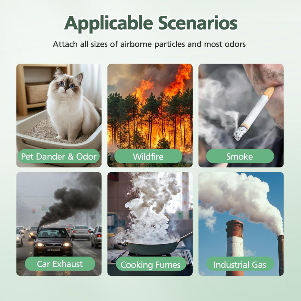 isinlive étiquette FSC du filtre attestant choix matériaux responsables