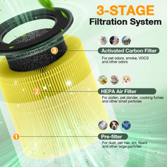 isinlive charbon activé granulaire pour absorption d'odeurs