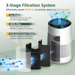 isinlive étiquette produit avec compatibilité MR2566 et guide d'installation clair