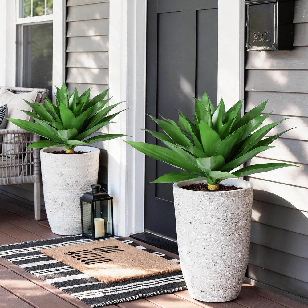 Ivydale agave cœur et bourgeon détaillé, rendu naturel convaincant