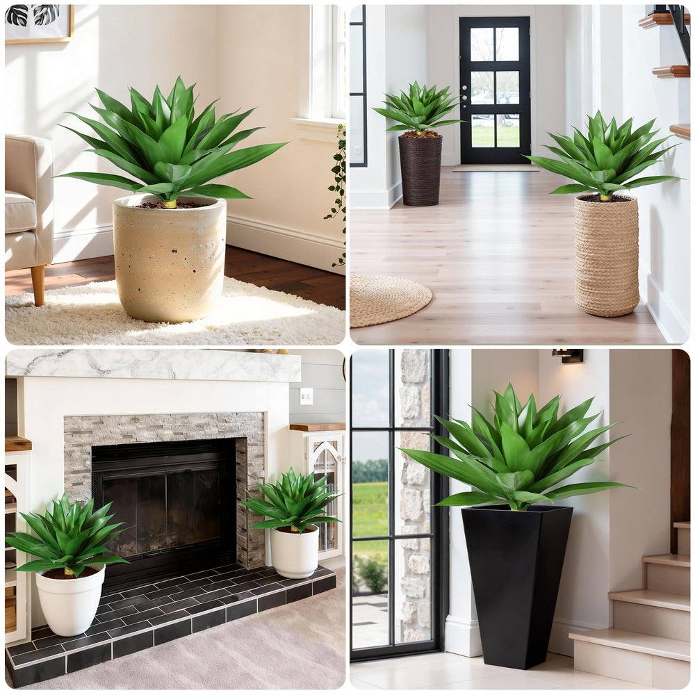 Ivydale agave lot sur balcon, crée ambiance accueillante sans soins