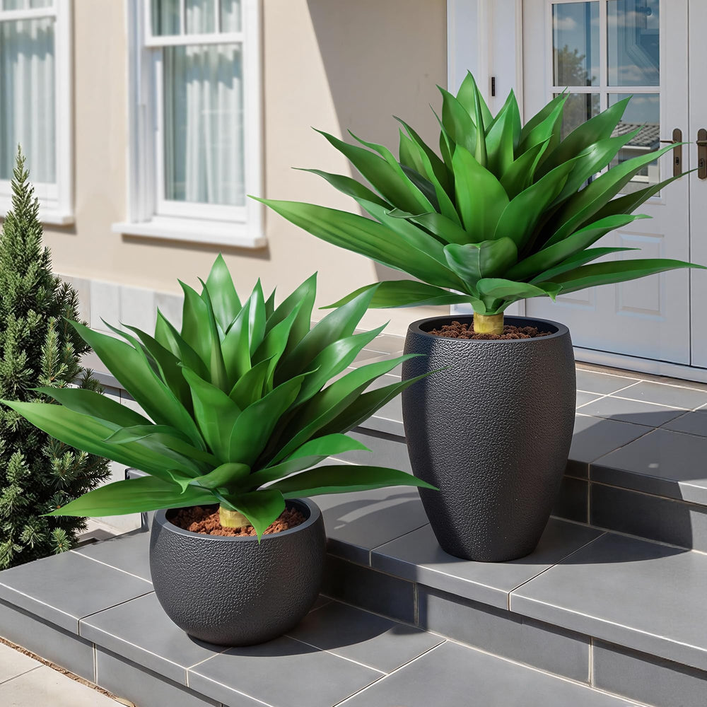 Ivydale agave matériau plastique résistant, protection UV visible