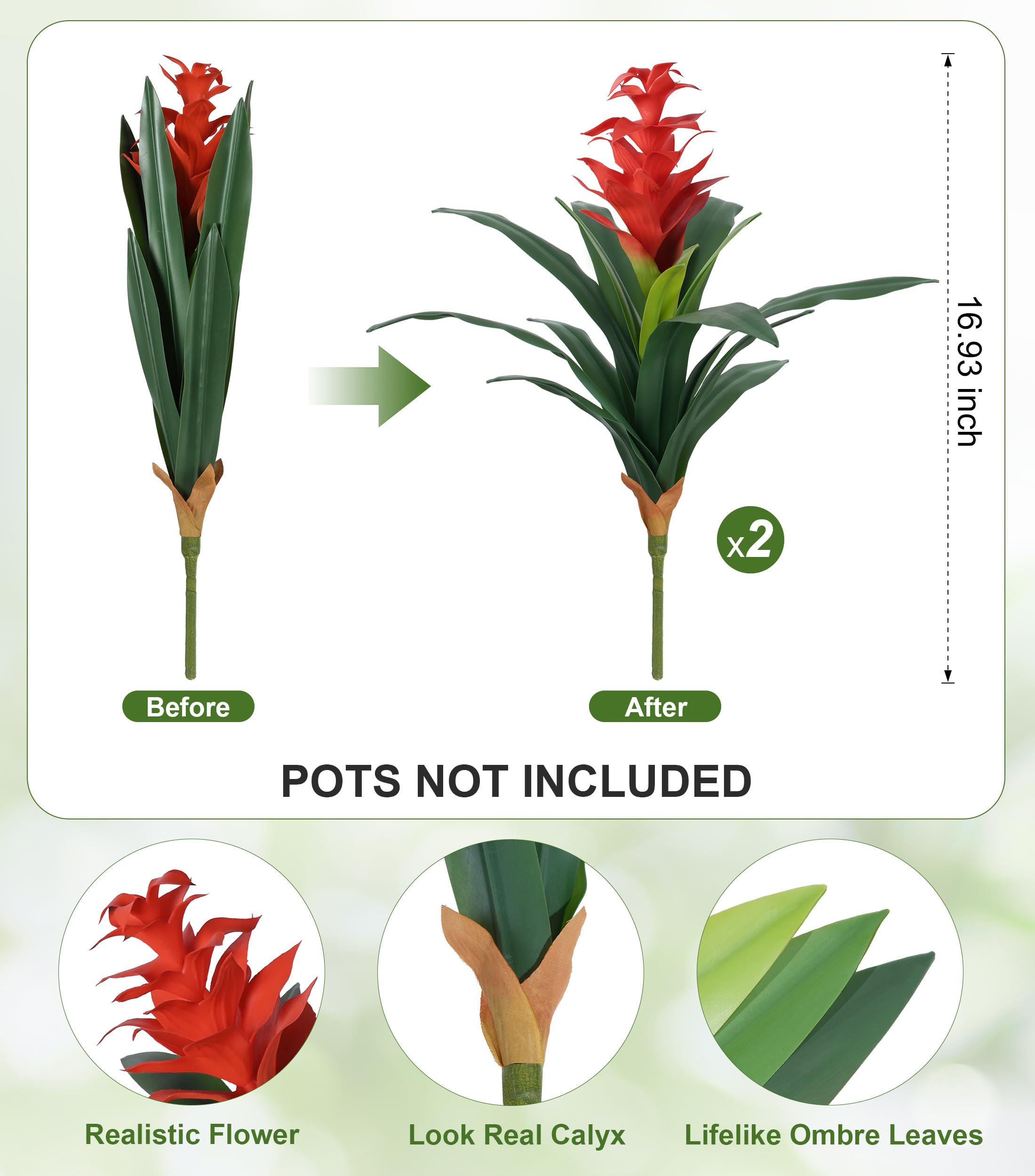 Ivydale gros plan pétales réalistes aux couleurs durables