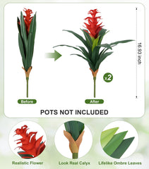 Ivydale gros plan pétales réalistes aux couleurs durables