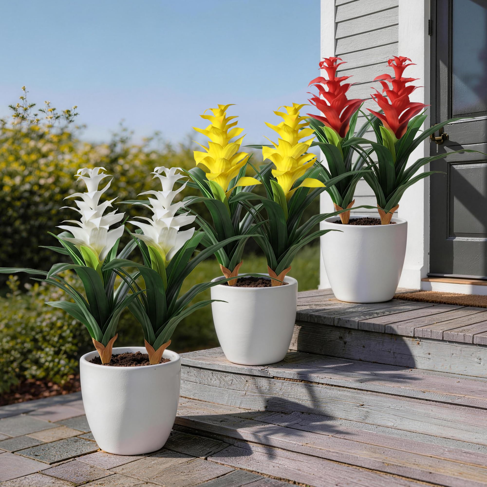 Ivydale scène de terrasse montrant ambiance tropicale durable