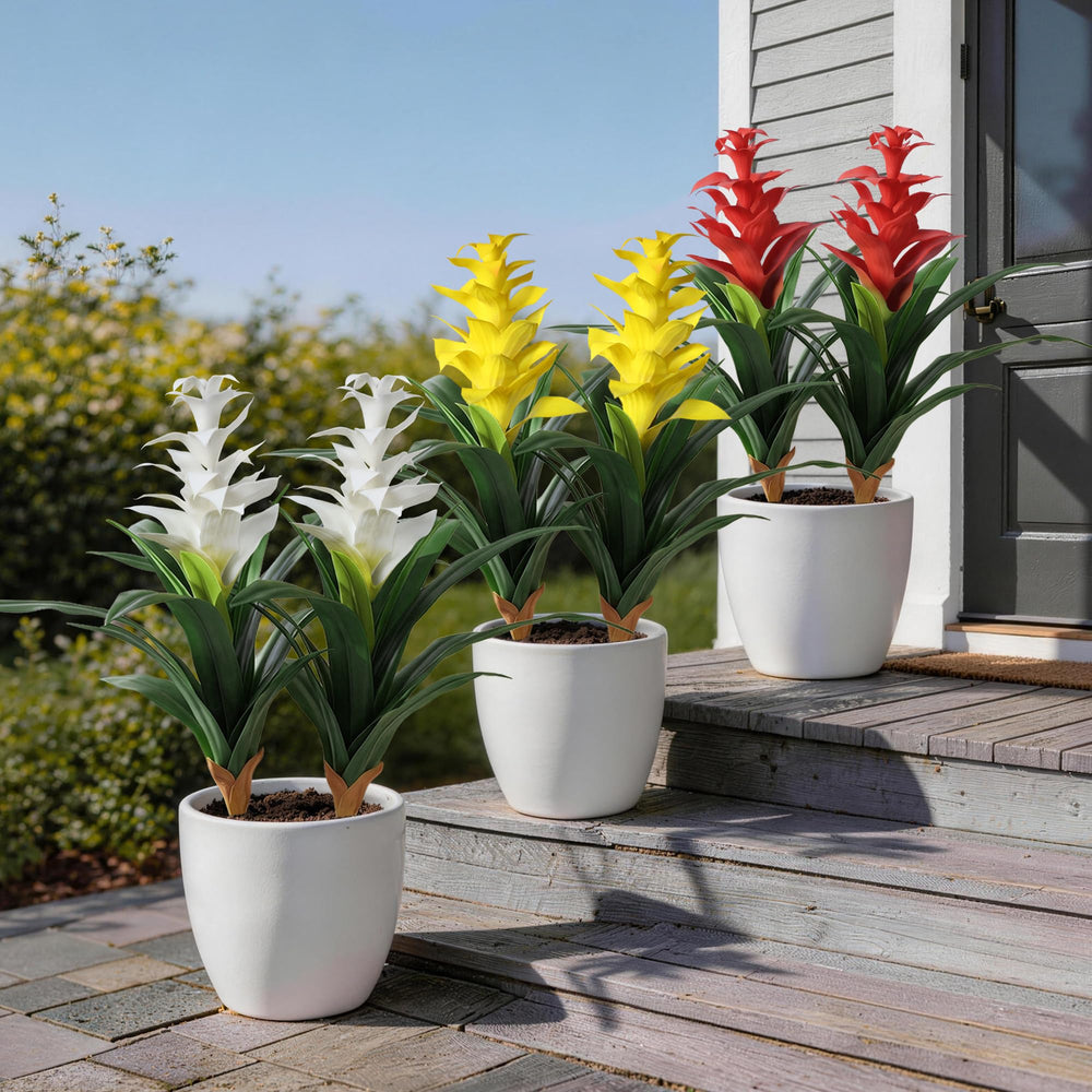 Ivydale scène de terrasse montrant ambiance tropicale durable