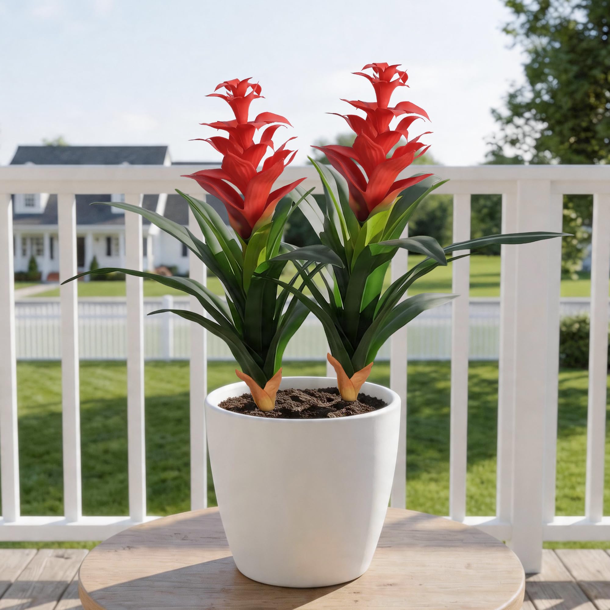 Ivydale plante dans jardinière ajoutant couleur au balcon