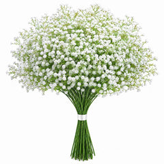 JIFTOK emballage 24 tiges gypsophila montrant quantité et longueur pour décoration