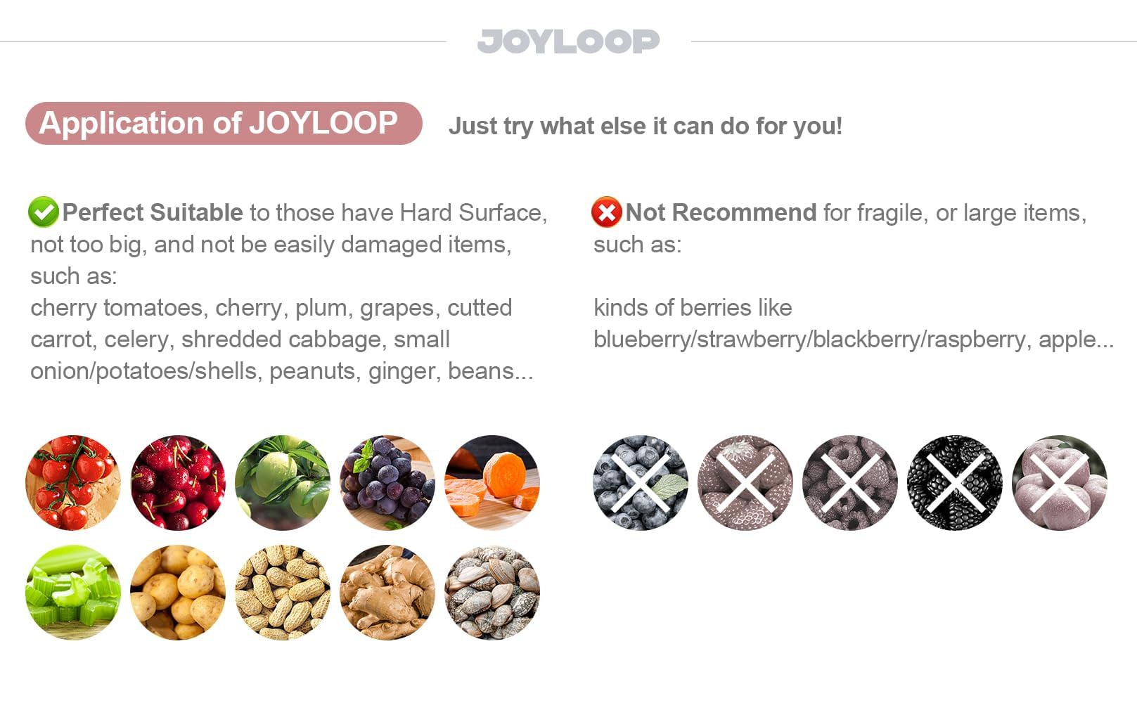 JOYMOOP détail des pièces démontables pour un nettoyage facile