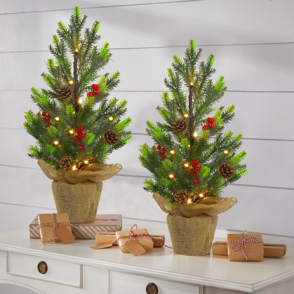 Juegoal gros plan sur branches et pommes de pin associé à réalisme décoratif