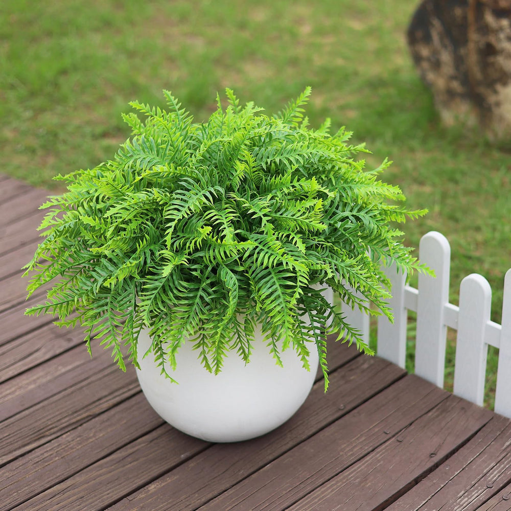 Juxdp gros plan sur fronde montre texture naturelle et durable
