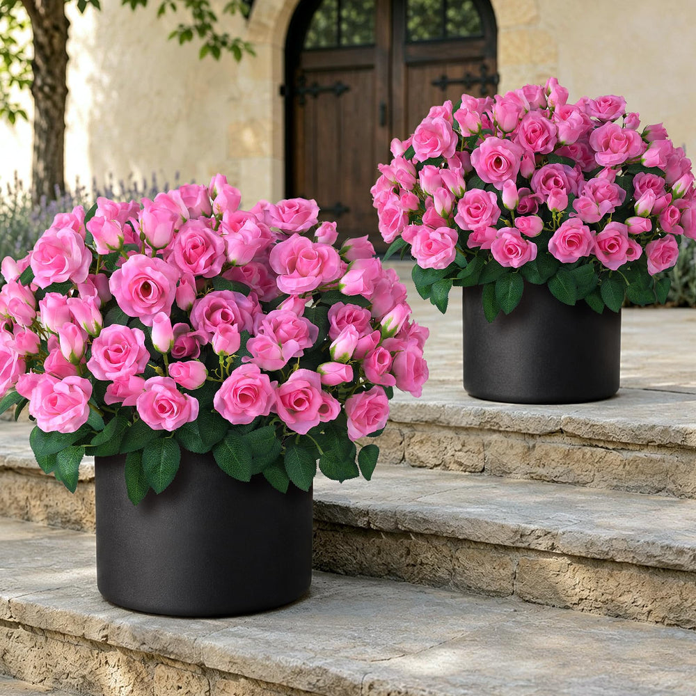 Juxdp topiaire rose face montrant accueil élégant