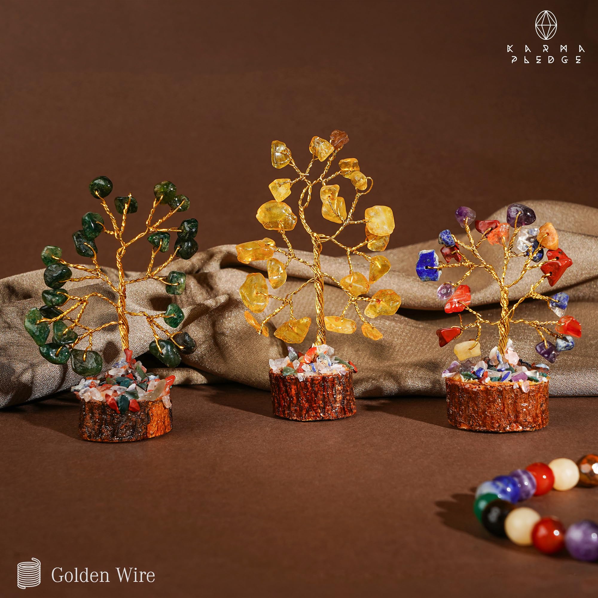 KARMAPLEDGE arbre tenu en main, visualisation claire de la taille