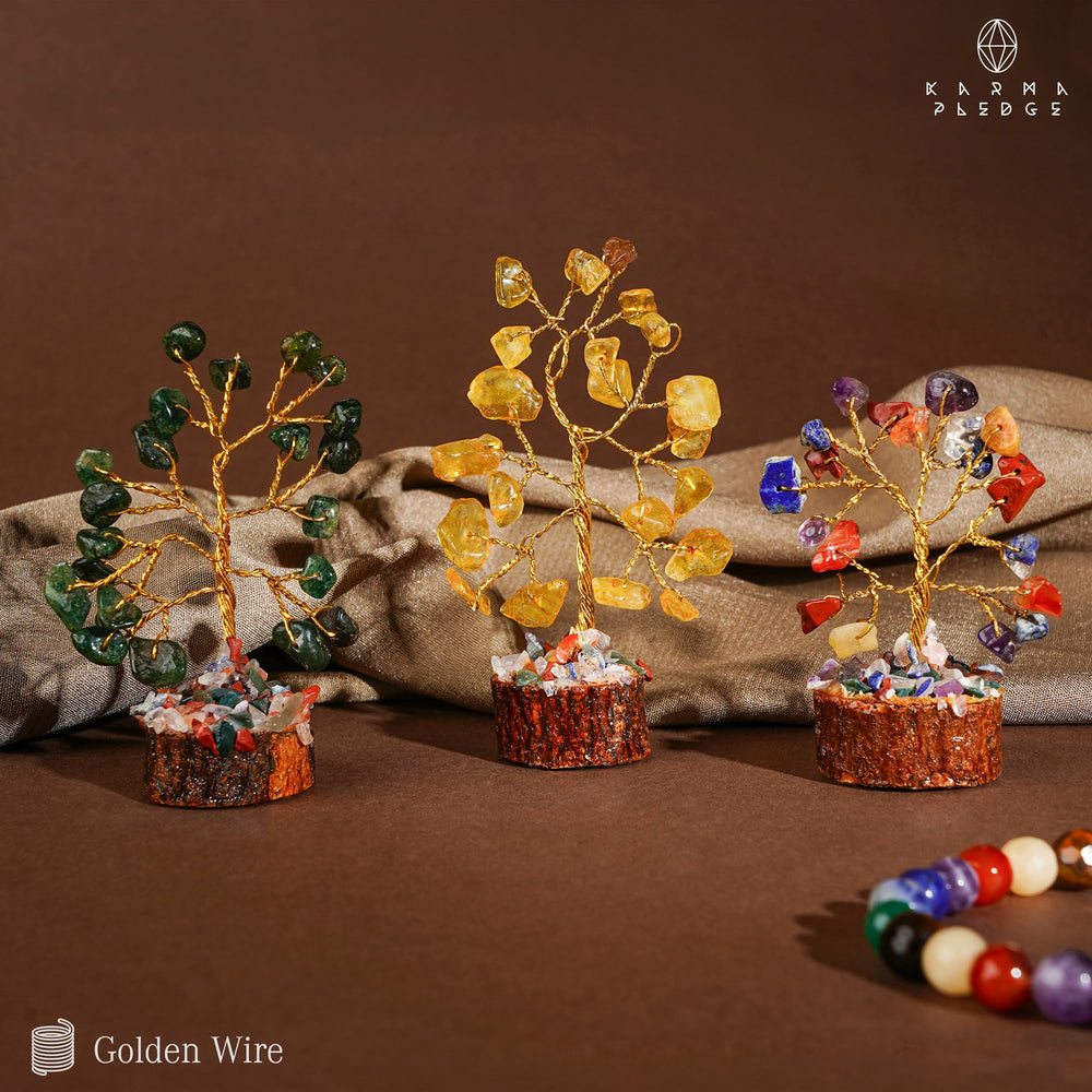 KARMAPLEDGE arbre tenu en main, visualisation claire de la taille