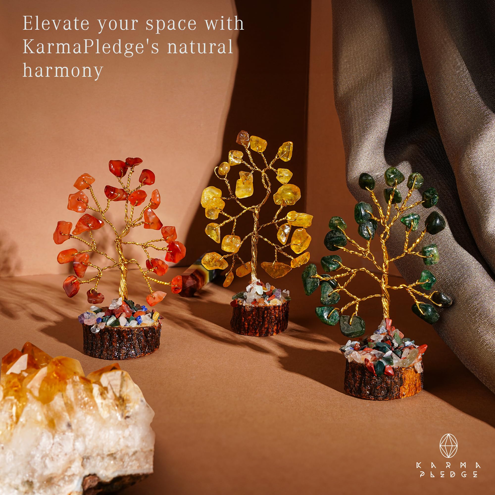 KARMAPLEDGE arbre sur bureau apportant charme et style professionnel