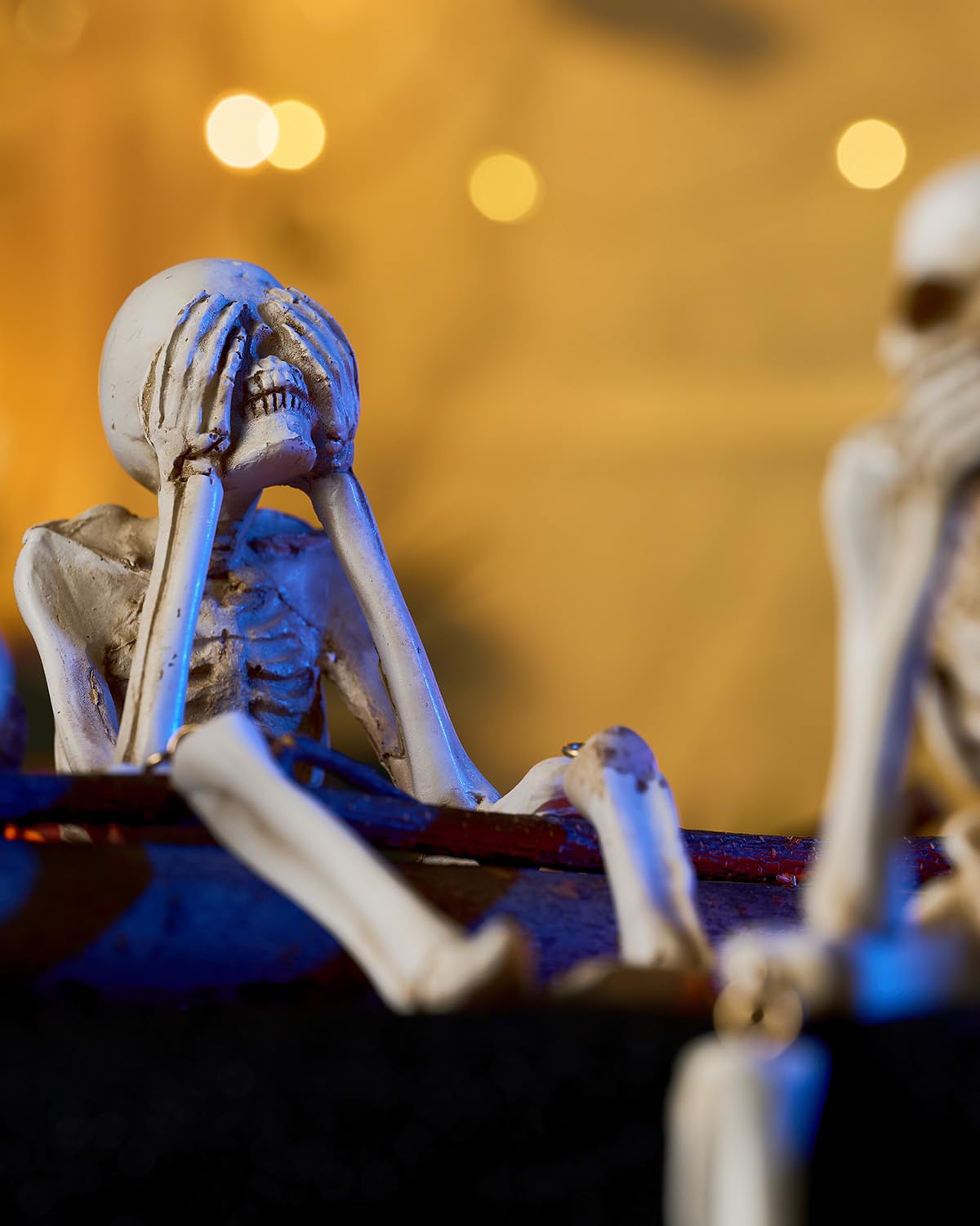 KcBlueJp mise en scène étagère créant atmosphère macabre élégante