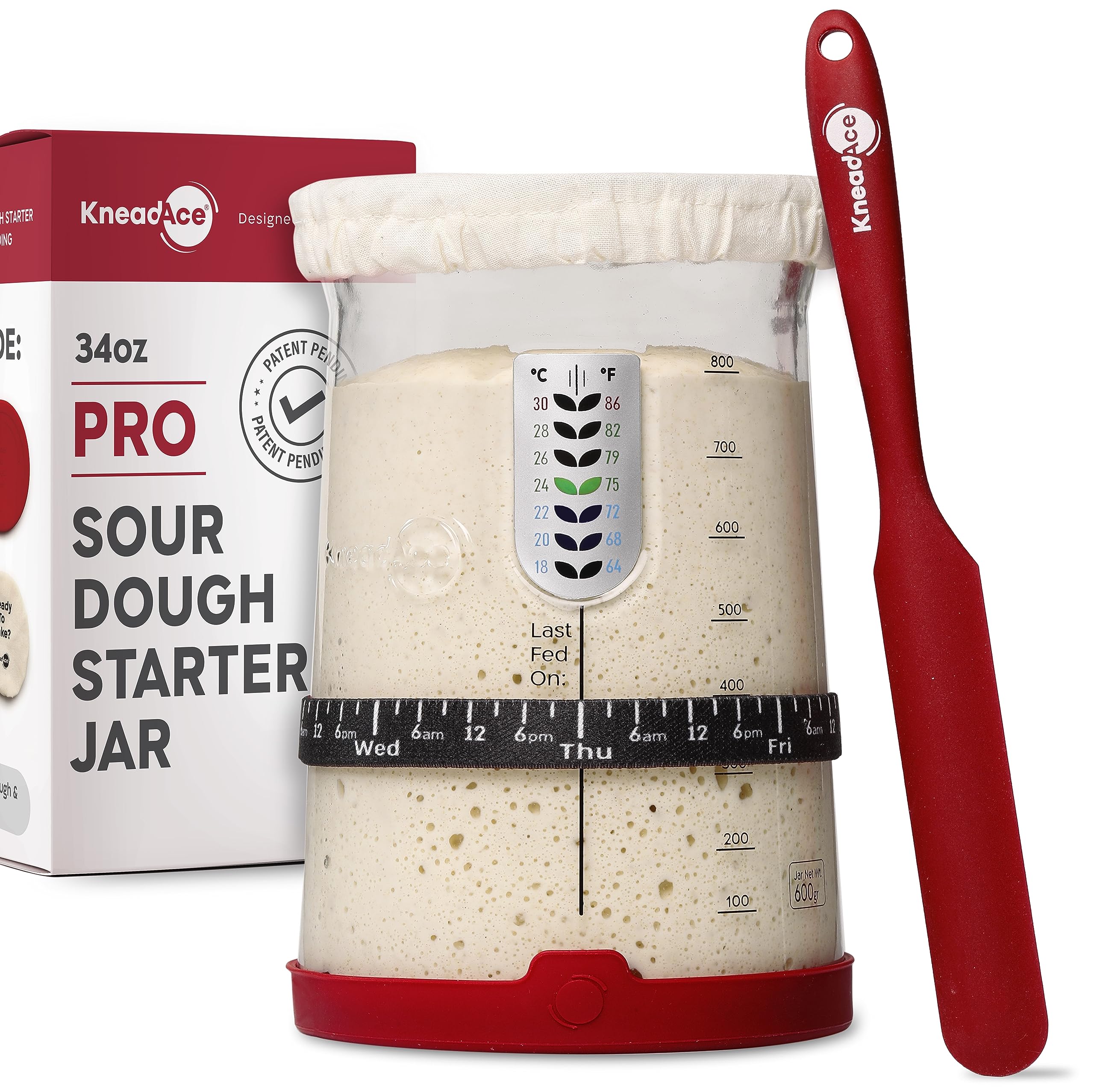 KNEADACE bocal 34 oz en vue frontale montrant design ergonomique et capacité