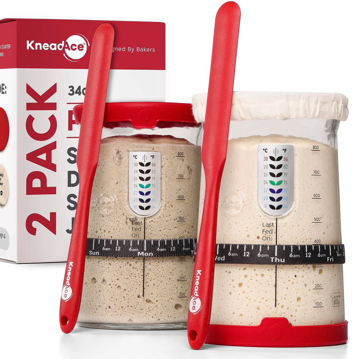 KNEADACE bocal face pleine capacité montrant le volume utile pour grandes fournées
