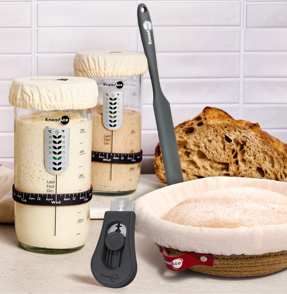 KNEADACE comparaison d'échelle montrant la taille réelle du pot 24oz