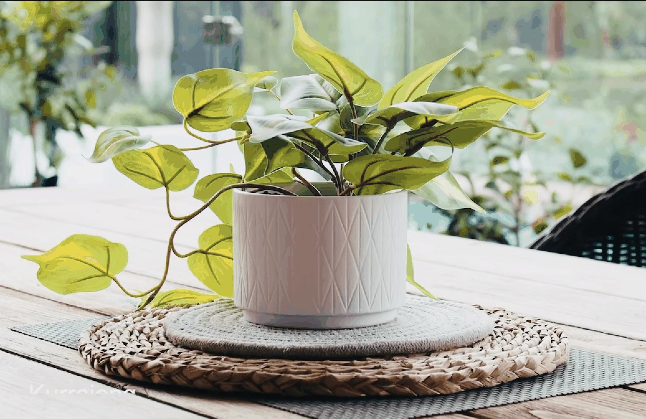 Kurrajong Farmhouse pot céramique mat 5 pouces, stabilité et design épuré