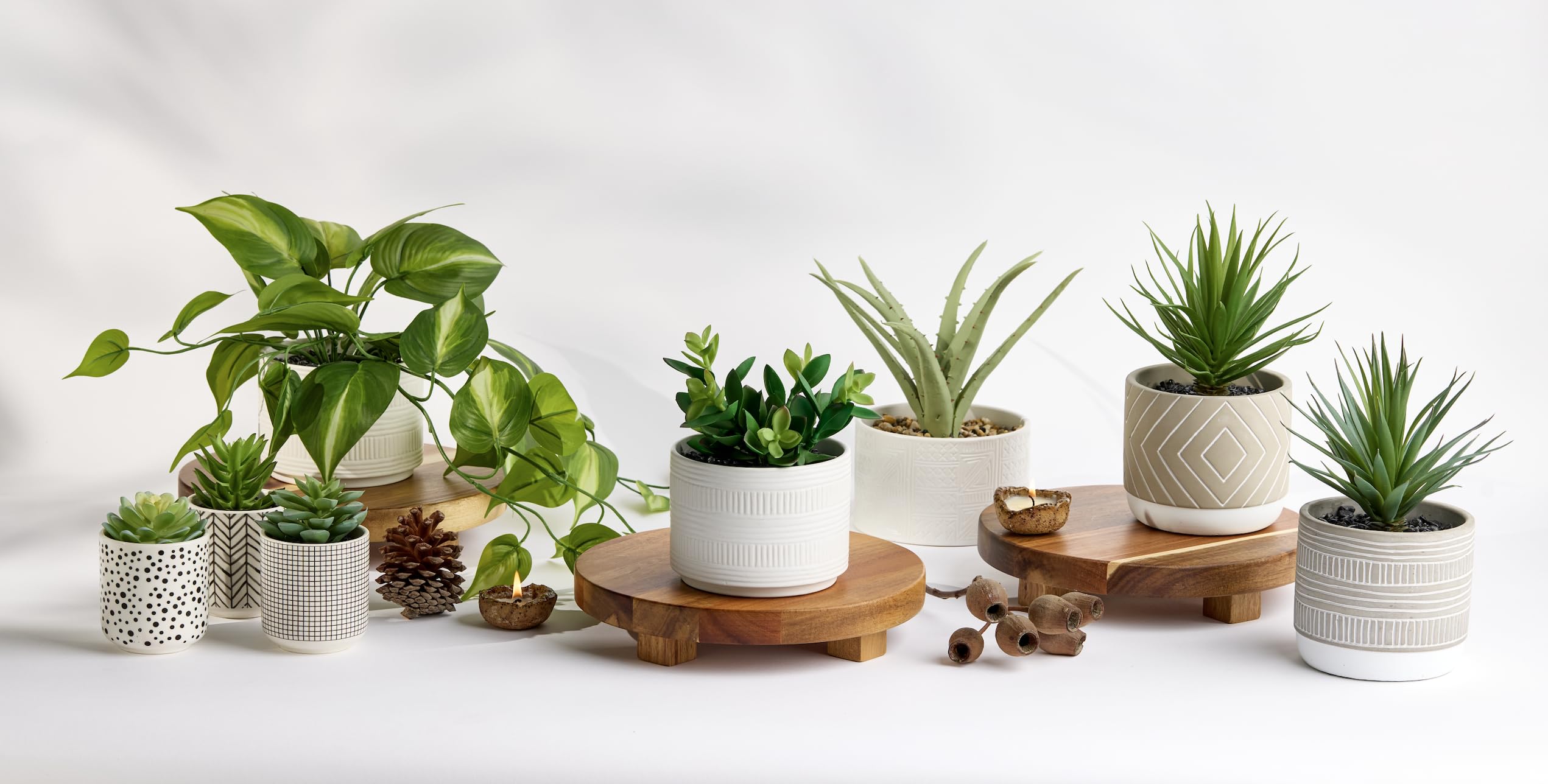 Kurrajong Farmhouse pothos dans salle de bain, apporte verdure sans entretien