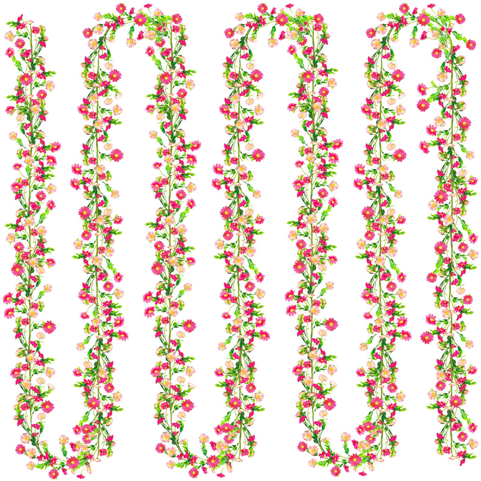 KVCSYAW gros plan sur fleurs marguerite roses montrant texture soyeuse et réalisme