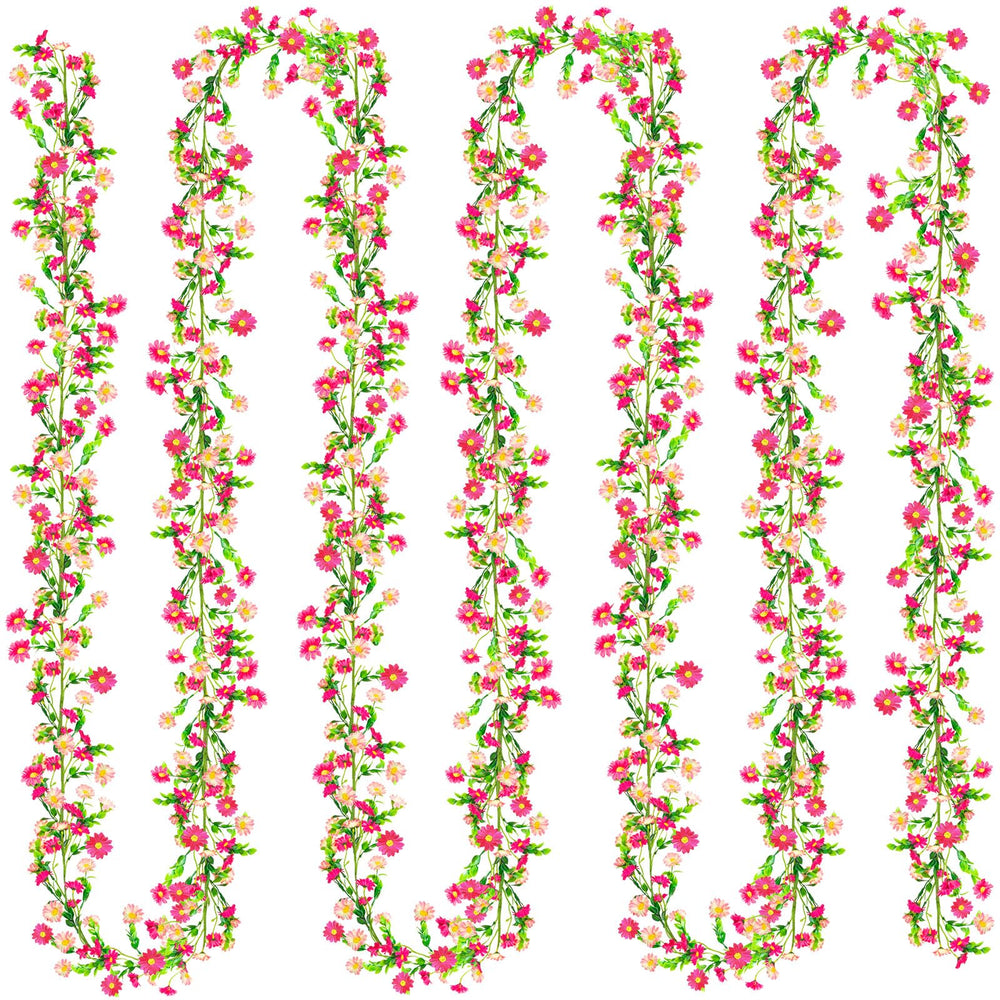 KVCSYAW gros plan sur fleurs marguerite roses montrant texture soyeuse et réalisme