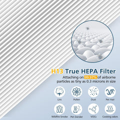 Lacvik filtre inséré dans purificateur Hynik Alviera HH001, remplacement sans outil