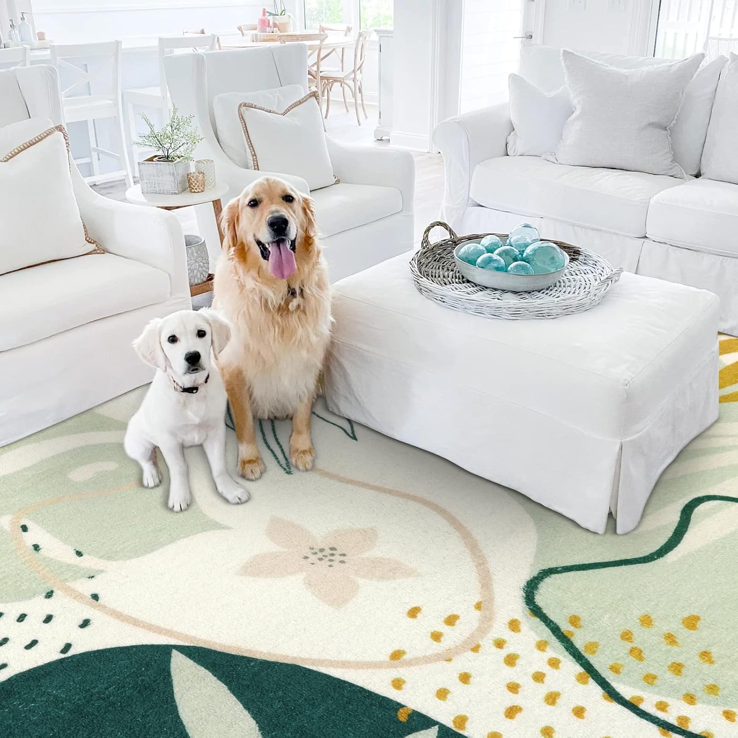 Lahome tapis 5x7 comparaison d'échelle montre dimension pratique
