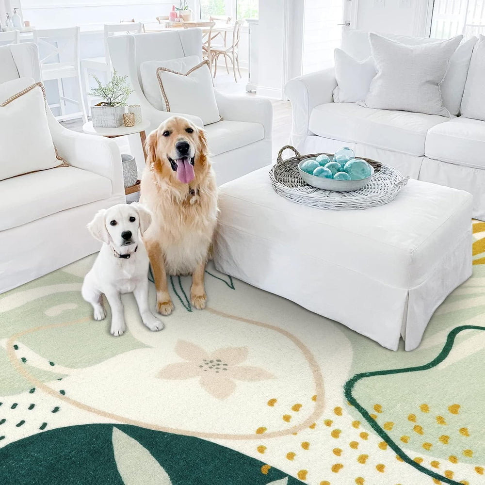 Lahome tapis 5x7 comparaison d'échelle montre dimension pratique