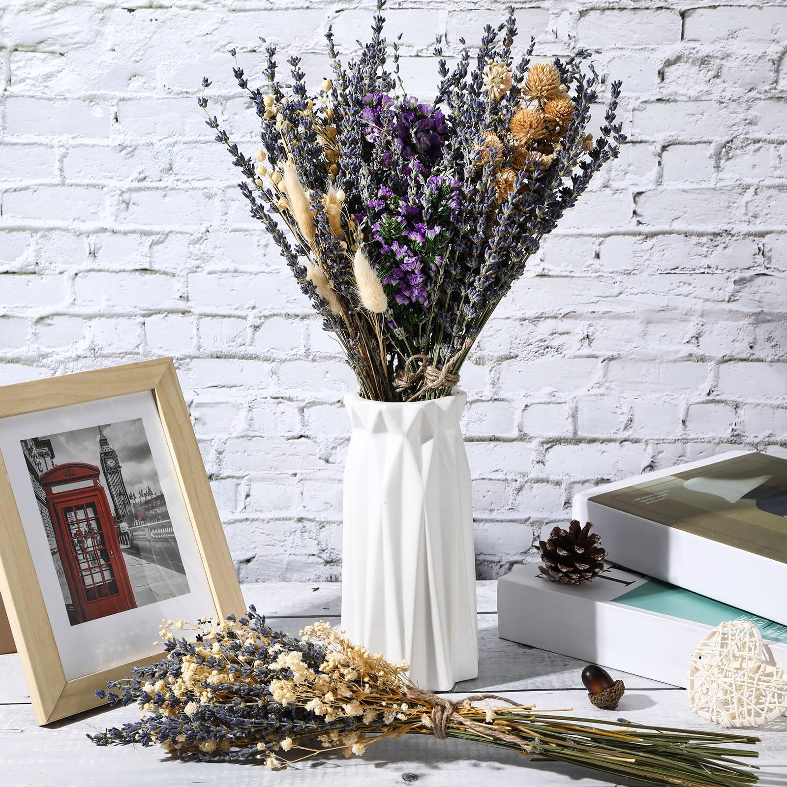 Layhit mélange de couleurs et variétés, choix esthétique polyvalent