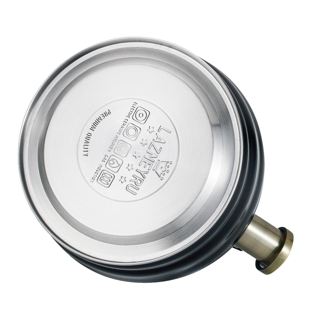 Bouilloire Lazneyru sur plaque pour démontrer compatibilité multi-cuisson