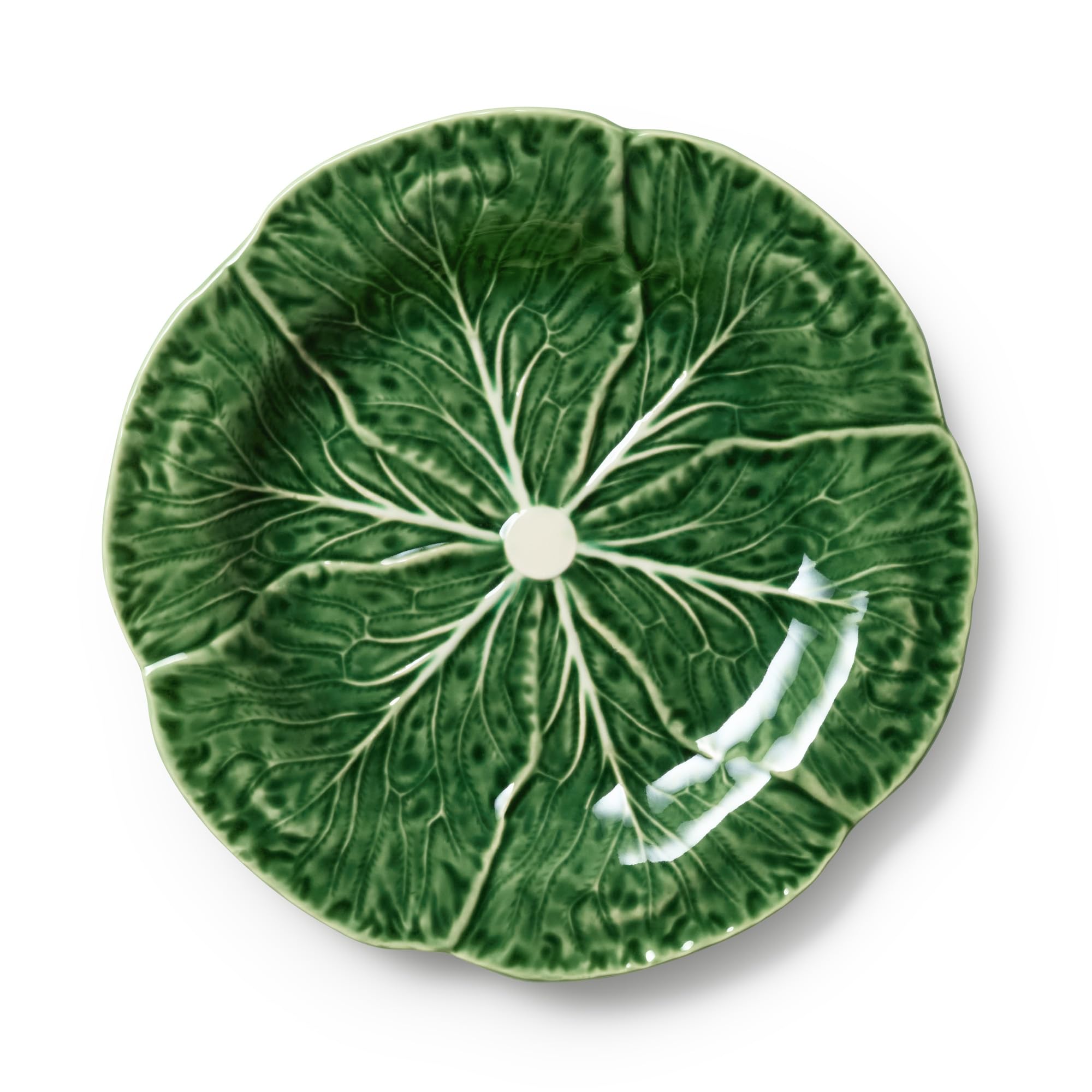 Cerified International gros plan texture des nervures de la feuille pour présentation soignée