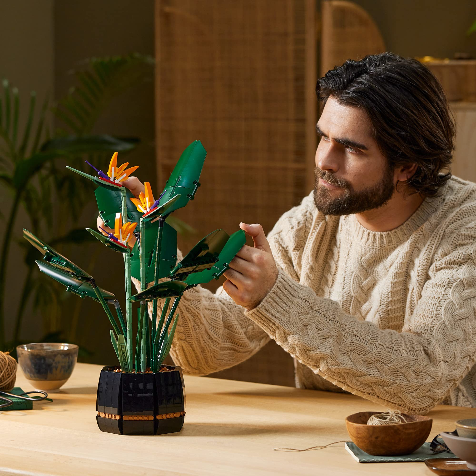 LEGO Bird of Paradise ensemble monté posé pour évaluer taille réelle
