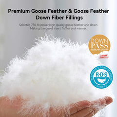 LESNNCIER vue du garnissage plumes et fibre, chaleur légère et gonflant