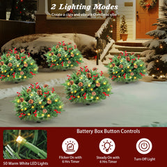 Lewondr 50 LEDs blanc chaud créent ambiance douce